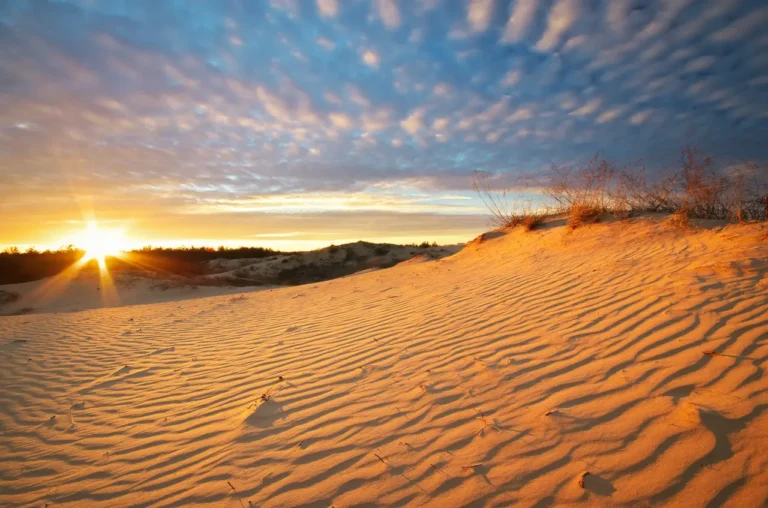 Desierto y oasis