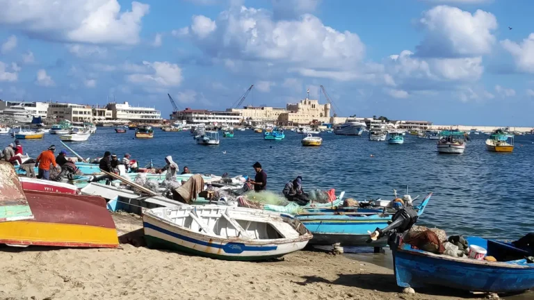Alejandría a Wadi El Natrun