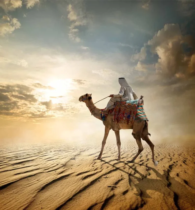 Safari en Hurgada