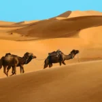 519-sharm-el-sheij-a-santa-catalina